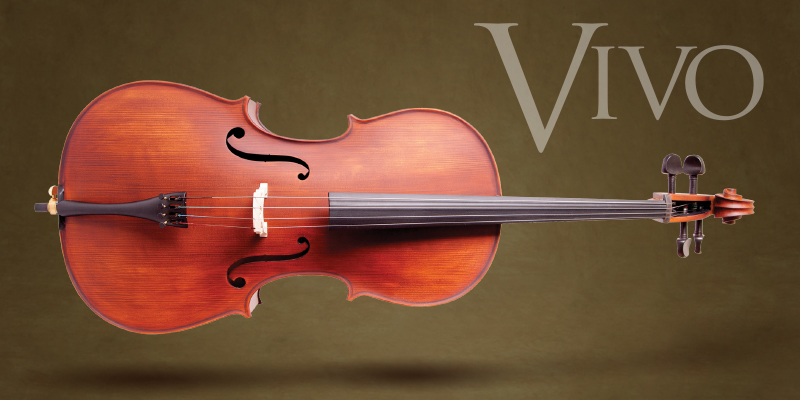 new-vivo-cello-promo-header-web-image.jpg