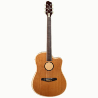 LR Baggs AEG-1 High-performance Acoustic Electric Guitar Torrefied Sitka Spruce [LRBAEG-1-TOR]