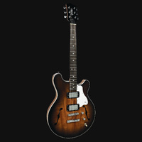 Pratley RBJ22 Double Cut Semi-Hollow Electric Humbucker Vintage Burst Blackwood [PRRBJ22-VB]